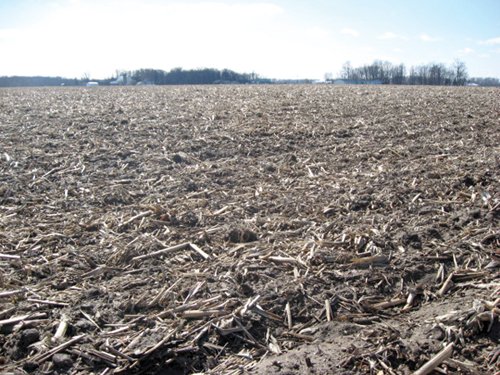 Property photo 19 - 127 Acres Offered in 4 Tracts